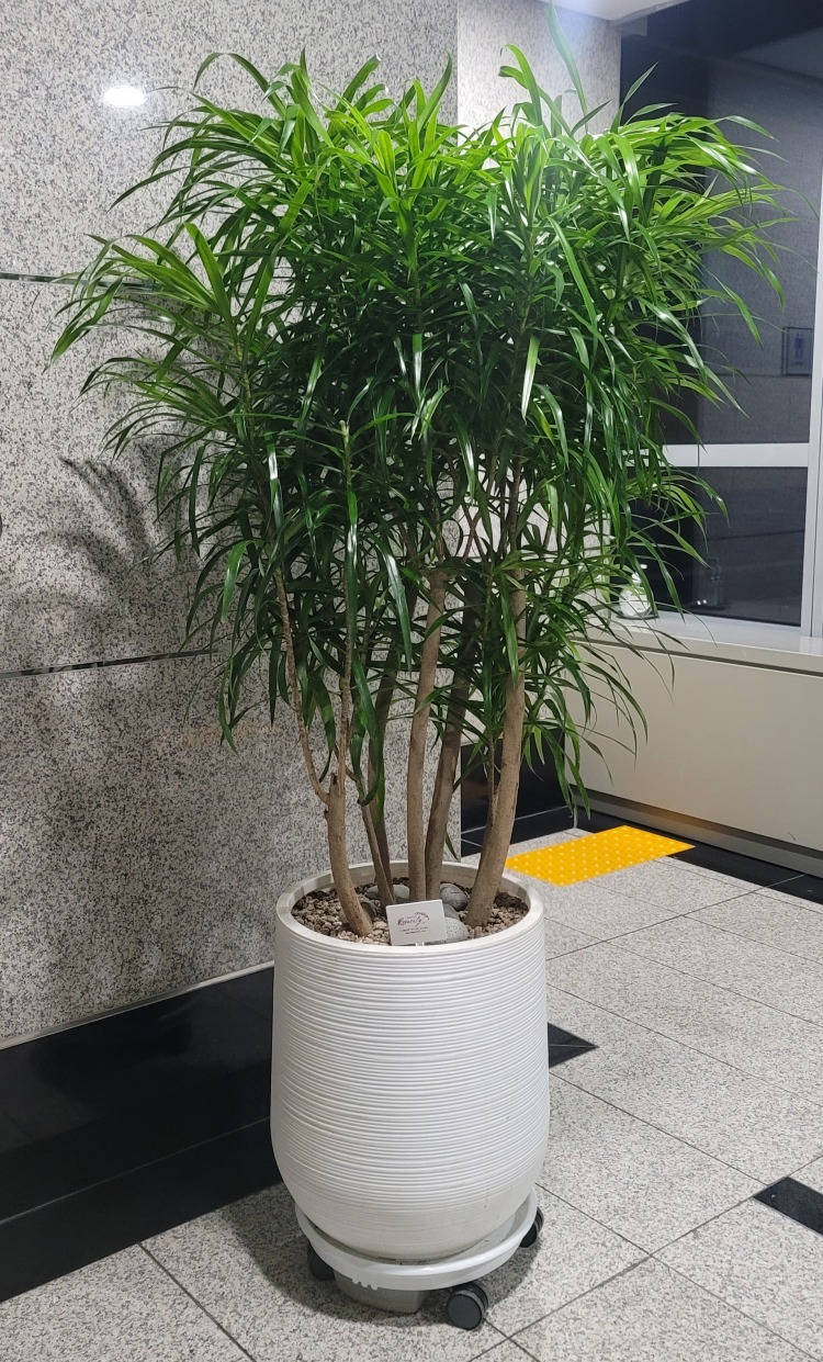 ��*������