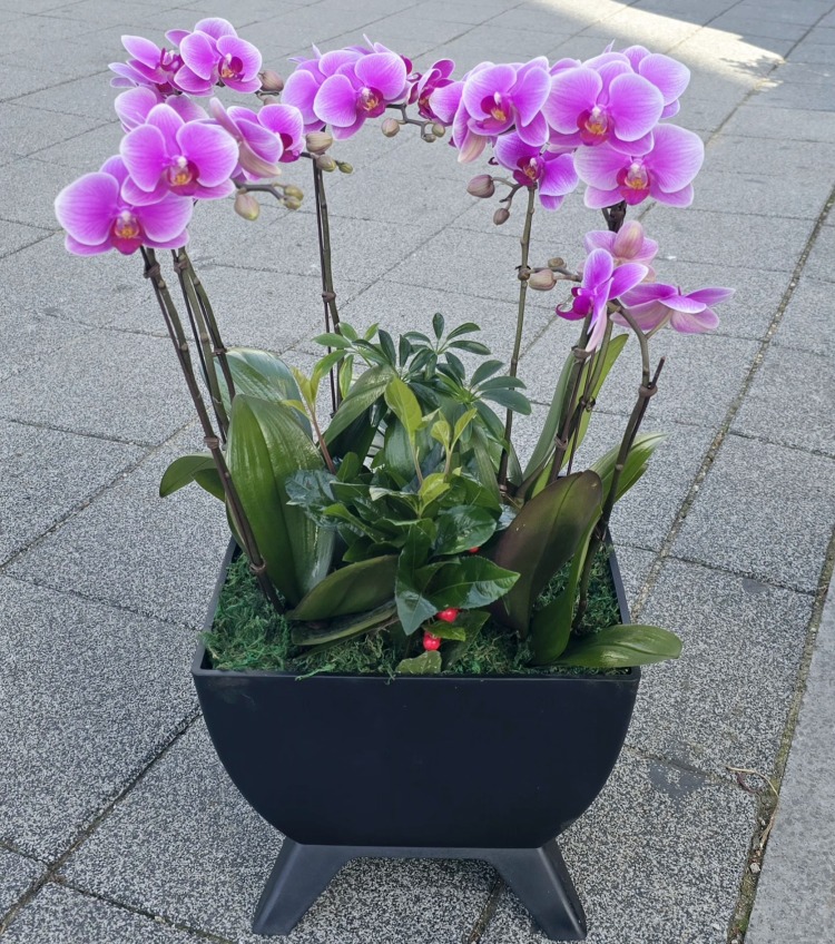 ȣ���� ���