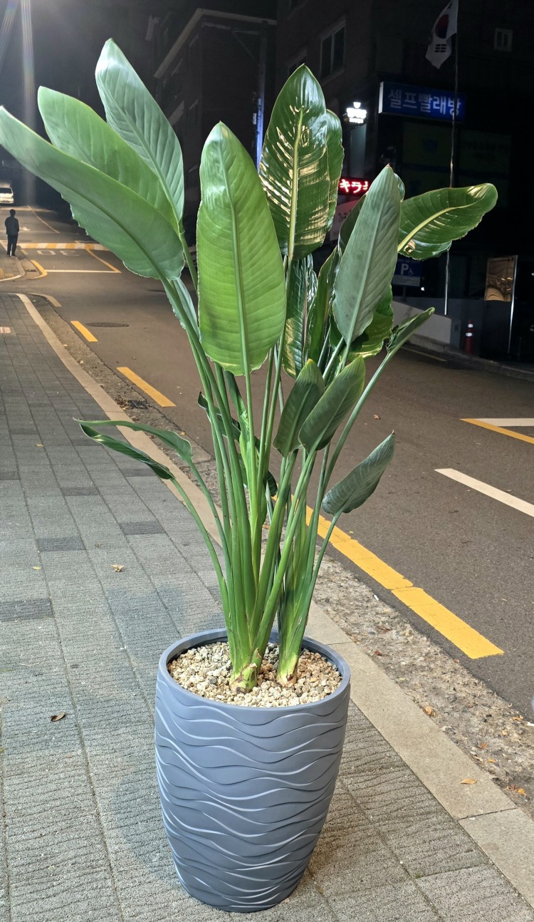 ��*���� ���ȭ��