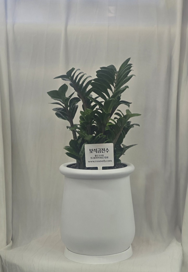 ��**�� ������ �ֹ���